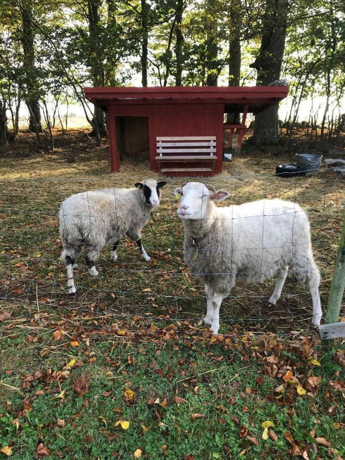 Rosloevs Gard Vackert Boende I En Naturskoen Miljoe. Flyinge Luaran gambar