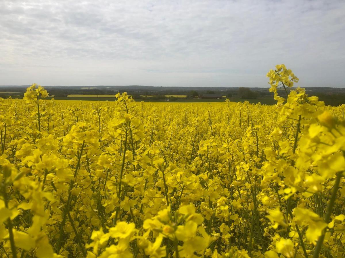 Rosloevs Gard Vackert Boende I En Naturskoen Miljoe. Flyinge Luaran gambar