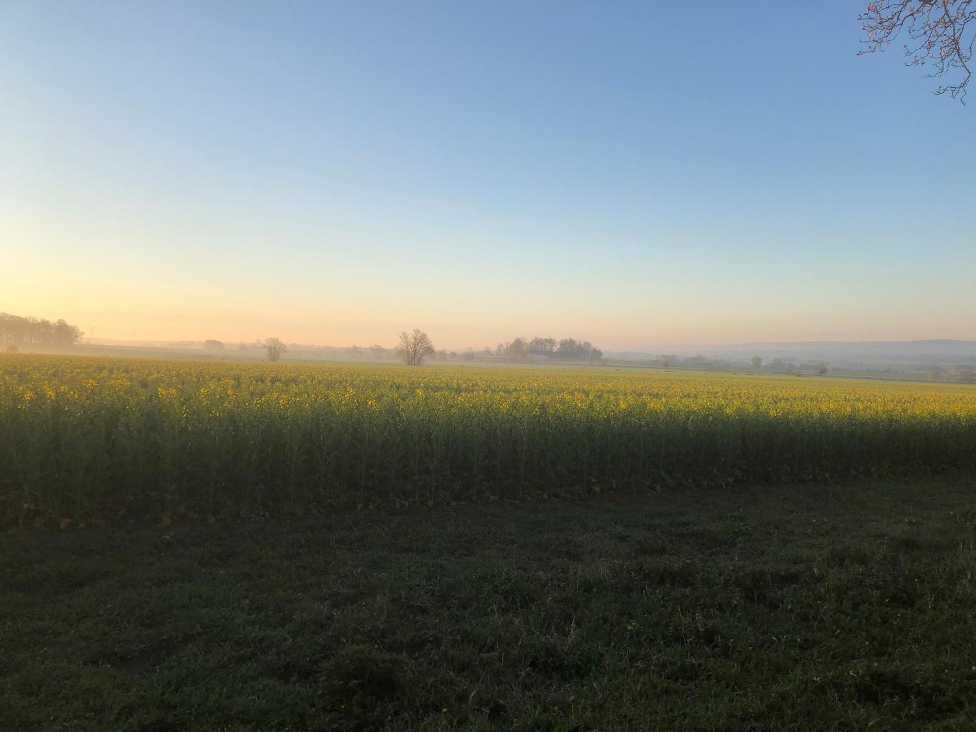 Rosloevs Gard Vackert Boende I En Naturskoen Miljoe. Flyinge Luaran gambar